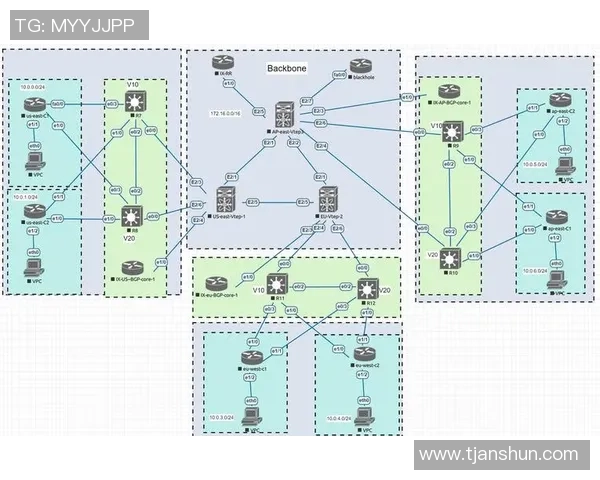 豪门国际网络架构优化策略探讨与实施路径分析