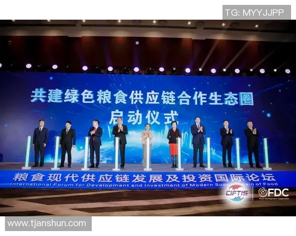 龙门国际供应链协同助力全球贸易高效发展与创新转型