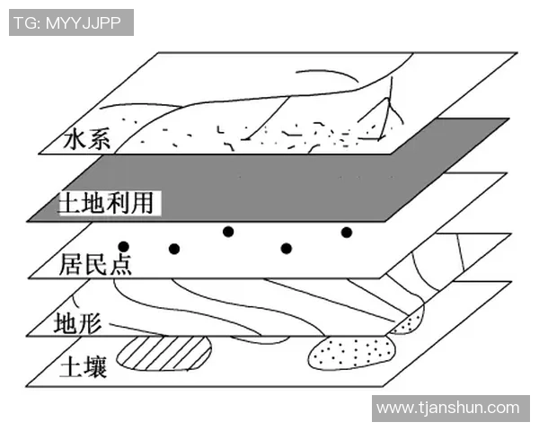 星空娱乐数据血缘追踪技术的应用与发展探讨分析