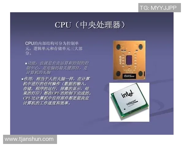 职业与业余设备性能差异分析:探讨硬件差距对工作效率的影响